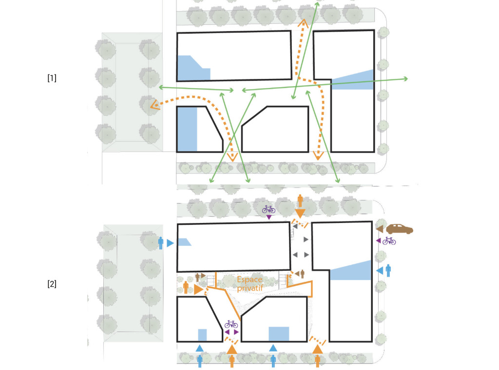schéma composition coeur de Maine