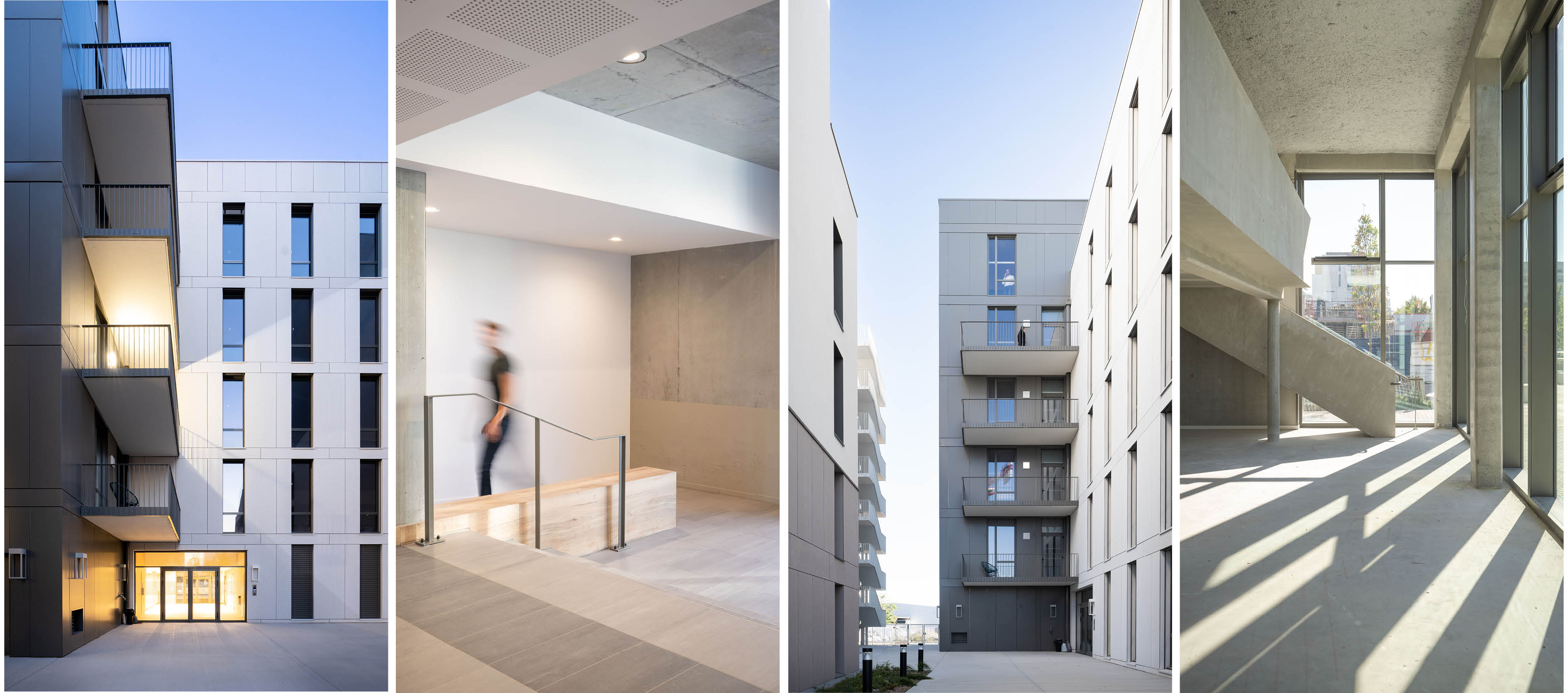 Montage coeur de maine