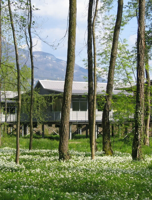 House boat de derrière