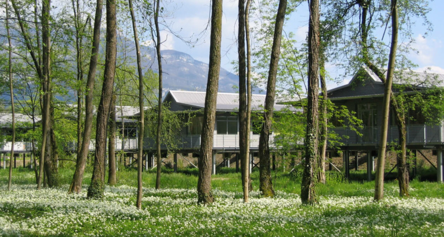 House boat de derrière