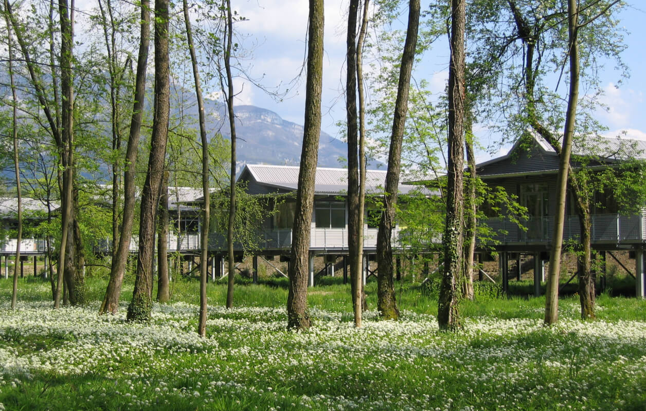 House boat de derrière