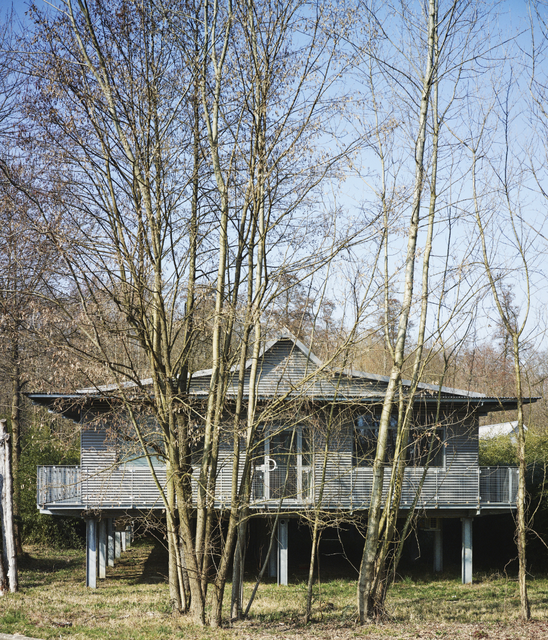 house boat pilotis