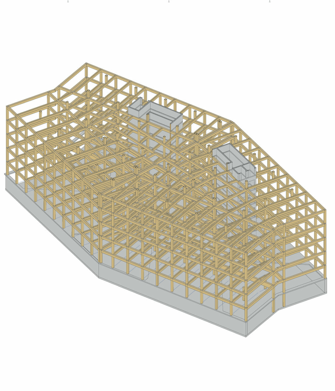 structure bois architecture