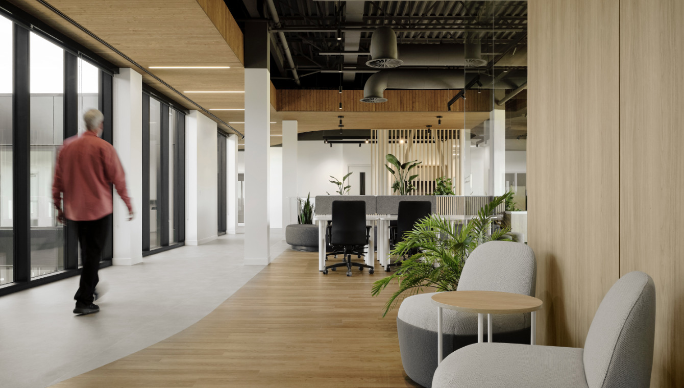 Intérieur de l'incubateur Bromont