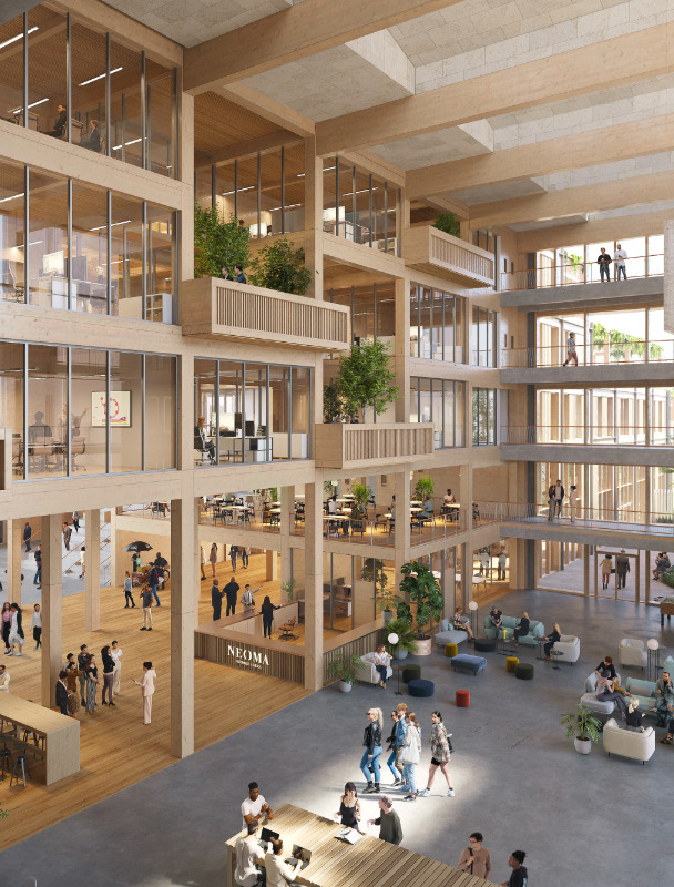 structure bois neoma