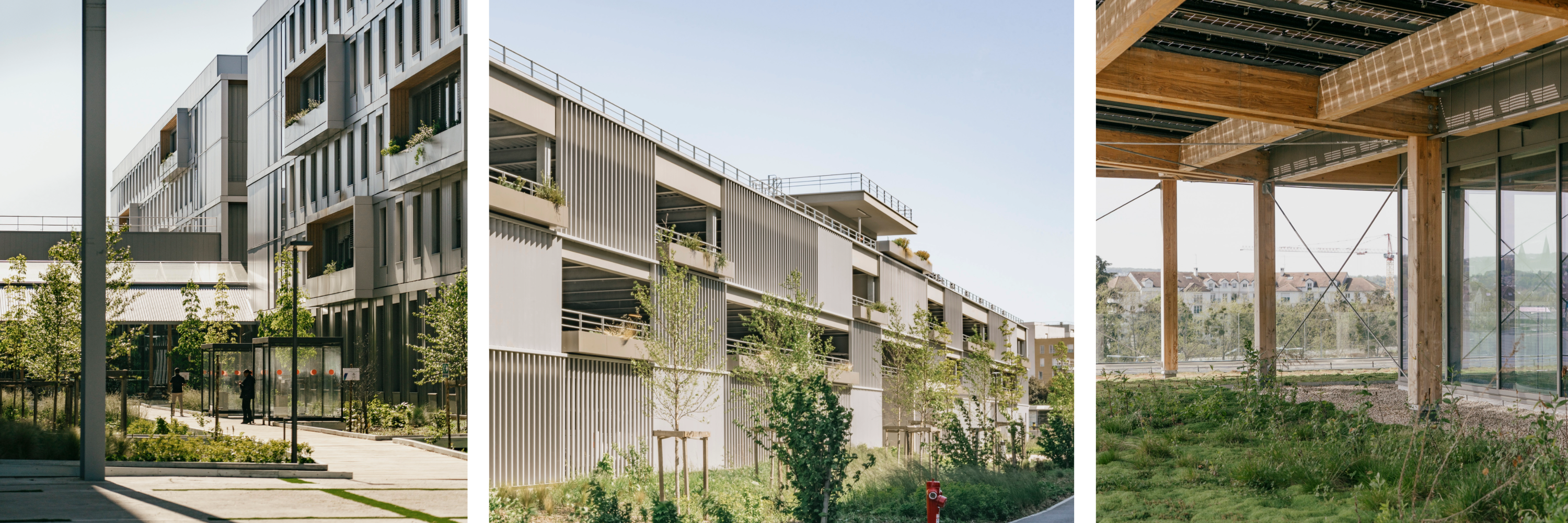 campus verdoyant