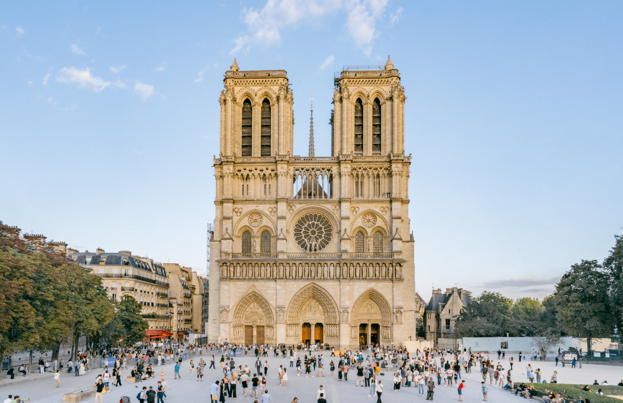 restauration notre dame de paris