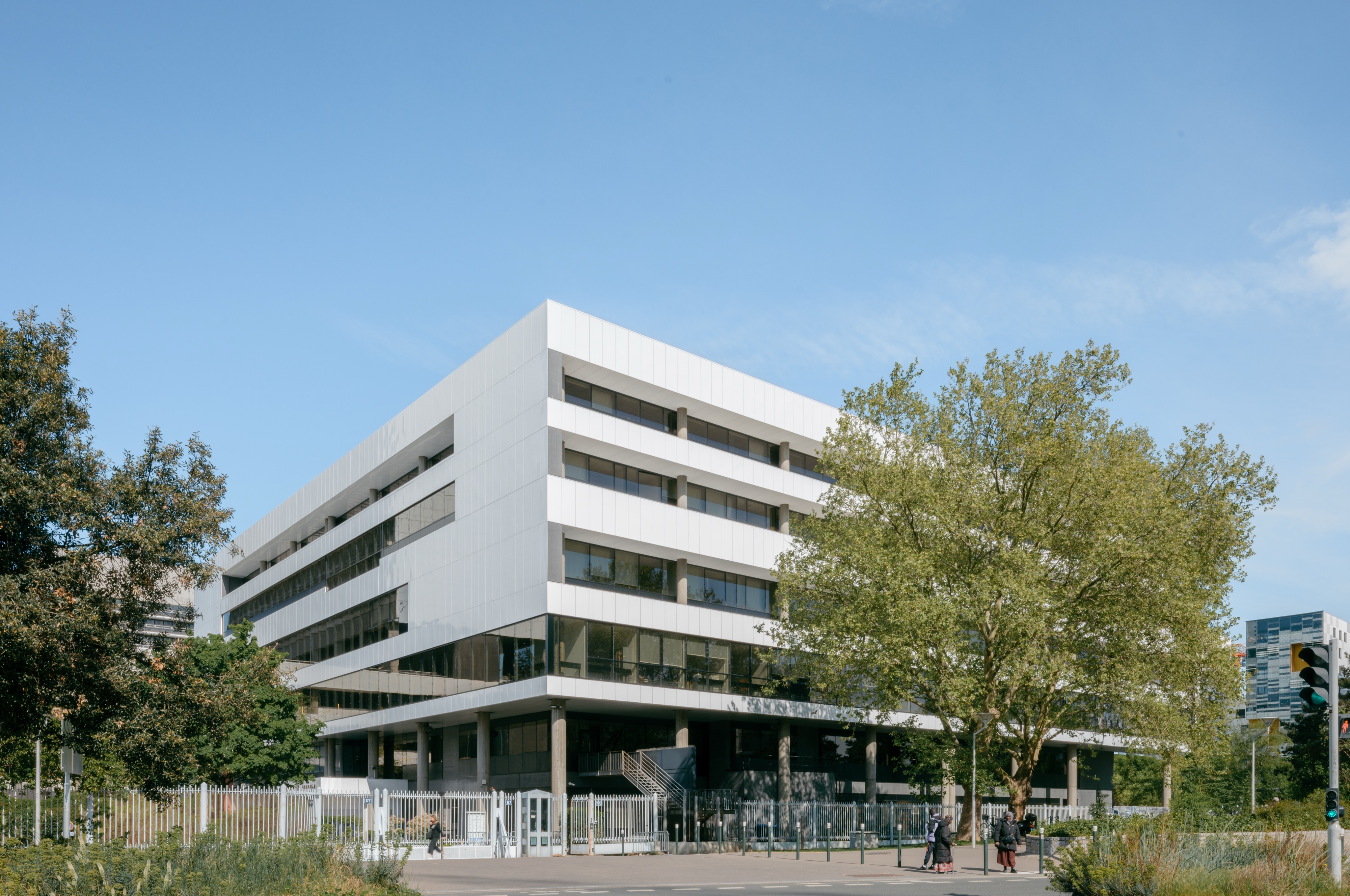 tribunal infrastructure critique