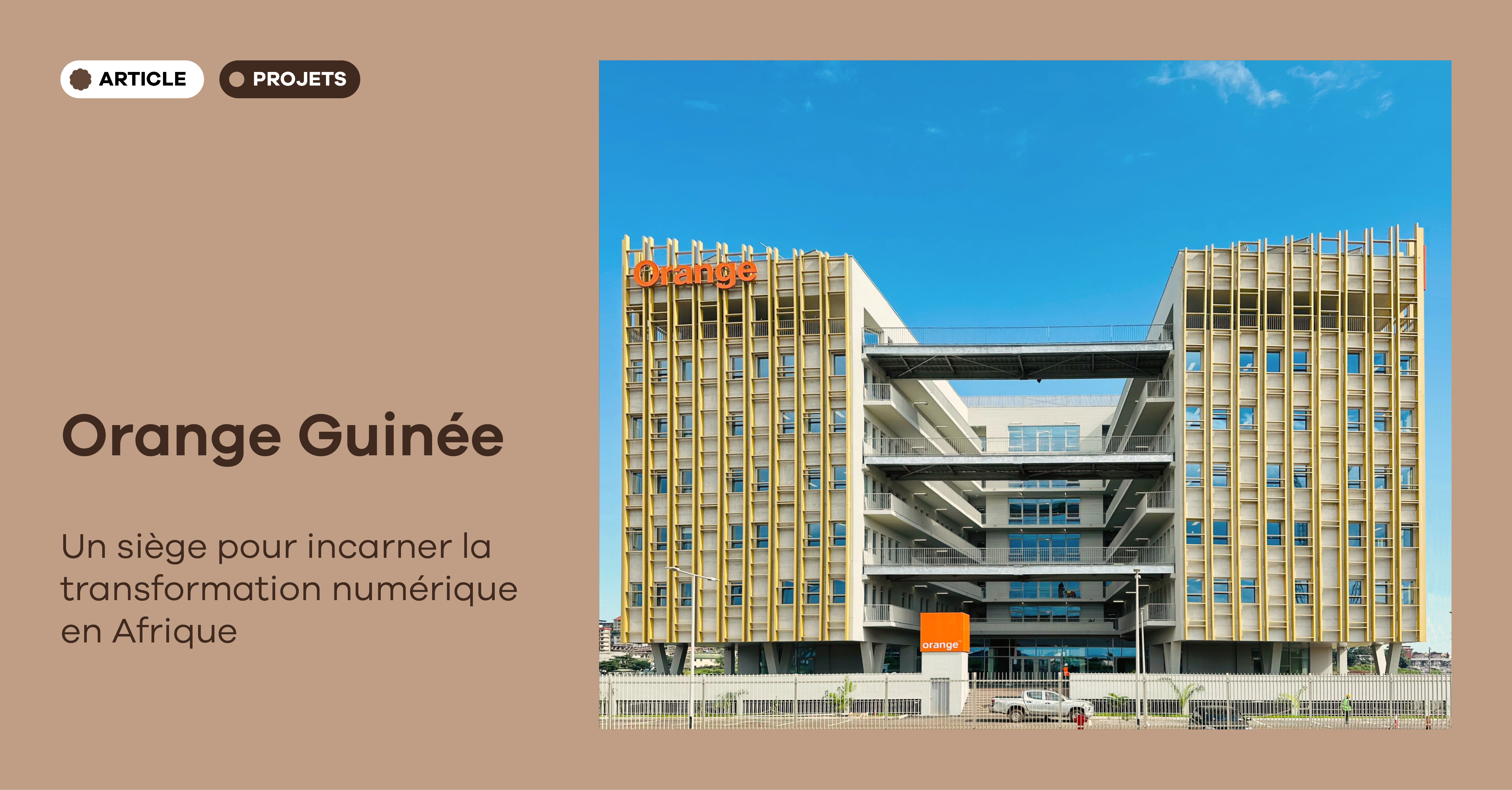 vignette projet orange Conakry