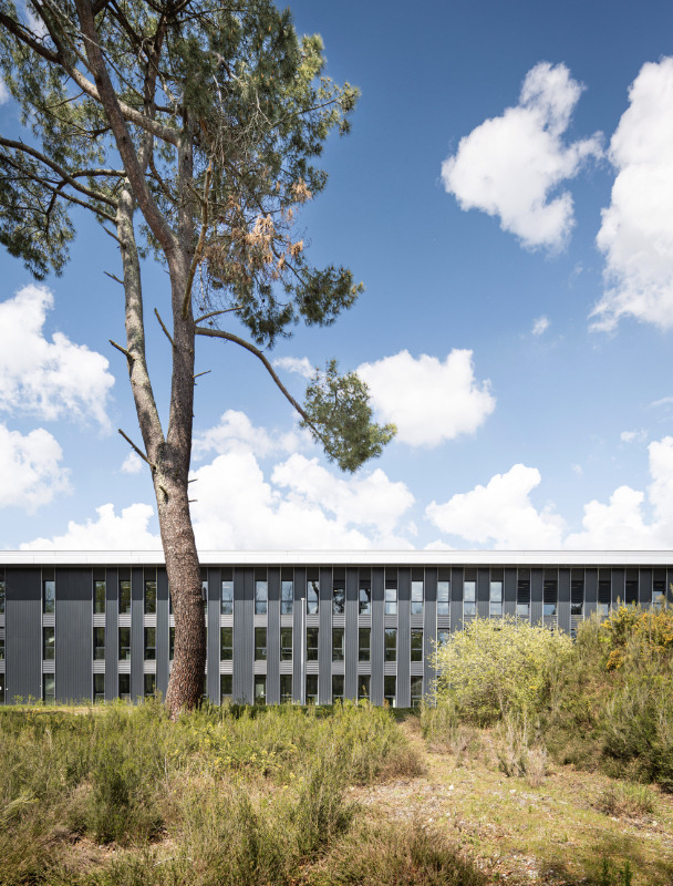 Safran campus extérieur