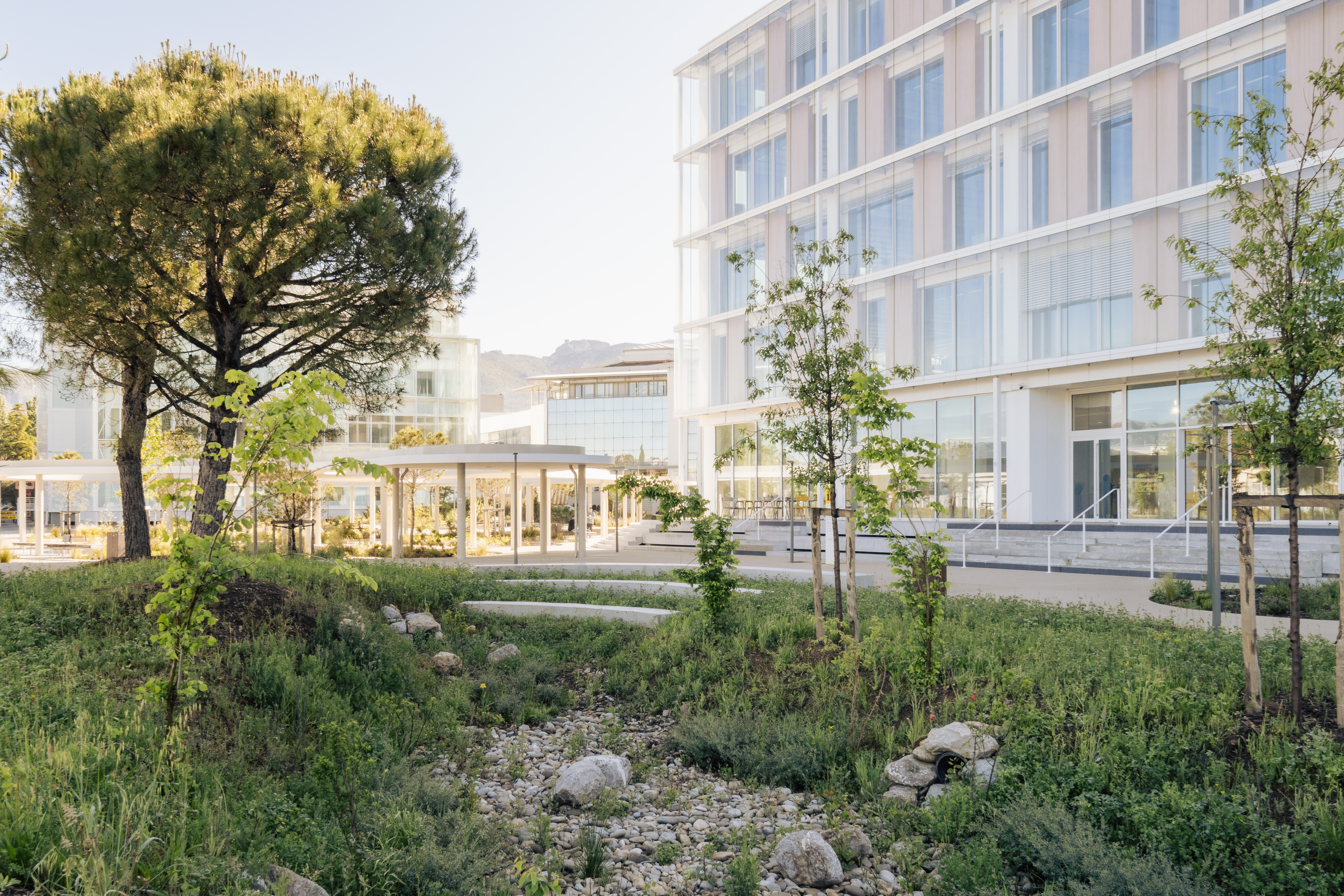 Campus France de Sartorius à Aubagne : un an après la livraison, retour sur un projet mixte mêlant bureaux, laboratoires et logistique