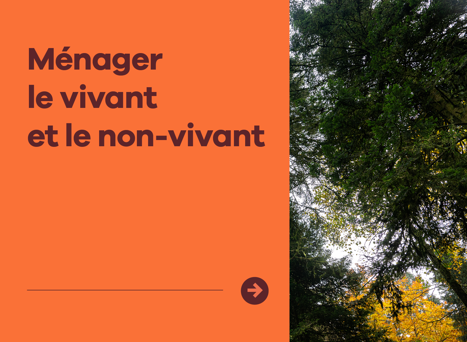 ménager le vivant et le non vivant